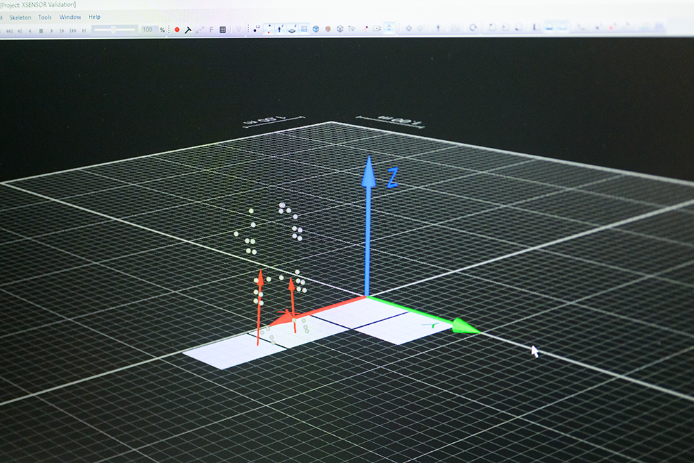 A graphic illustrating biomechanics.