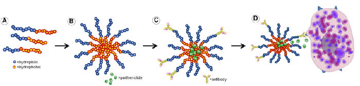 parthenolide delivery