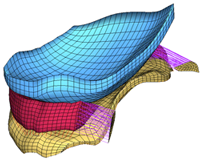 finite element model