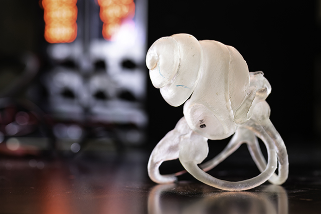 3D printed, scaled model of gerbil cochlea.
