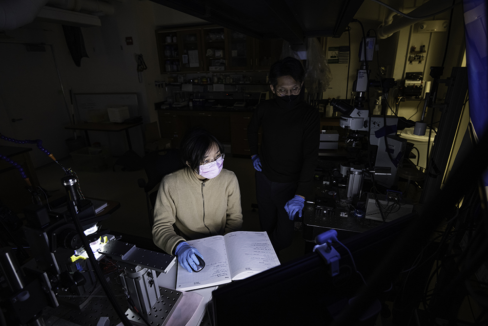 Researchers in a lab looking at images and data of cochlear tissue, acquired using optical coherence tomography.