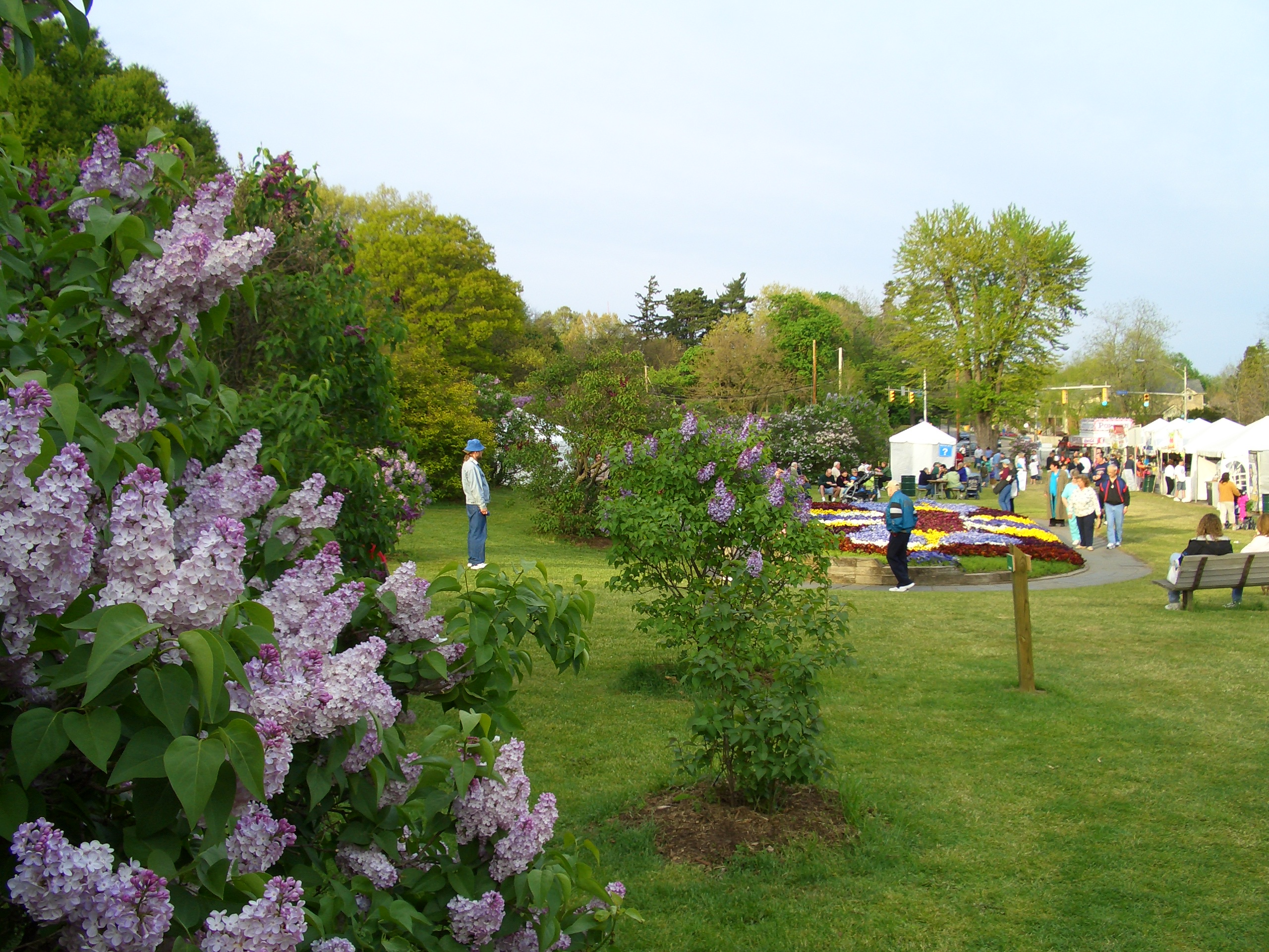 lilac festival image sourced from wikipedia