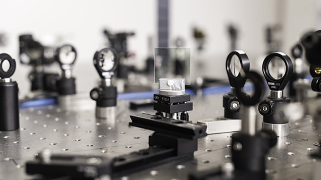 A slide being held in place for tests using light.