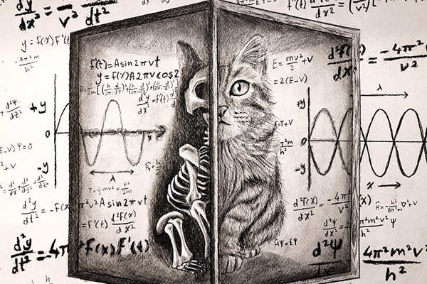 Illustration of Schrödinger’s cat half alive and half skeletal in a box, surrounded by complex physics equations.