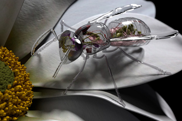 A 3D rendering of an Eastern Yellowjacket appearing to be made of a clear glass material with the purpose of displaying selected internal organs and structure.