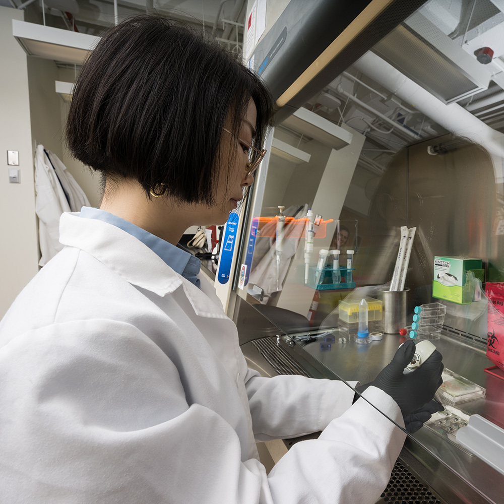 A student using a pipette to implant cells in a device.