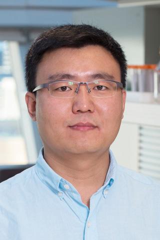 Headshot of Hongbo.